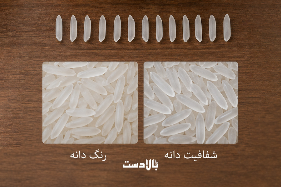 تست رنگ و شفافیت دانه برنج؛ ساده‌ترین راه تشخیص برنج درجه یک ایرانی
