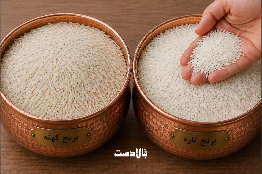 تفاوت برنج کهنه و جدید؛ کدام برای پخت شما بهتر است؟ (راهنمای کامل انتخاب)
