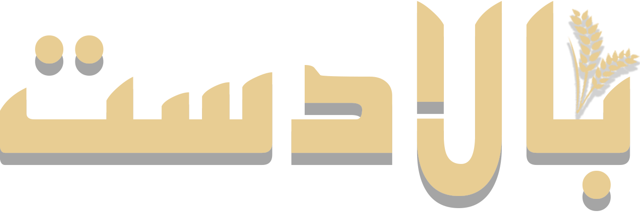 لوگو